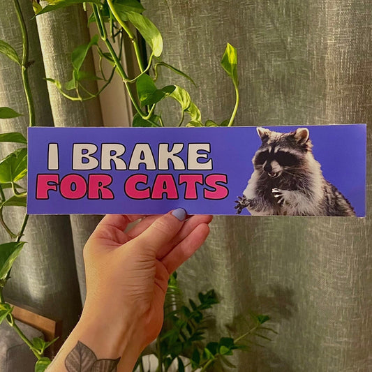 I Brake For Cats