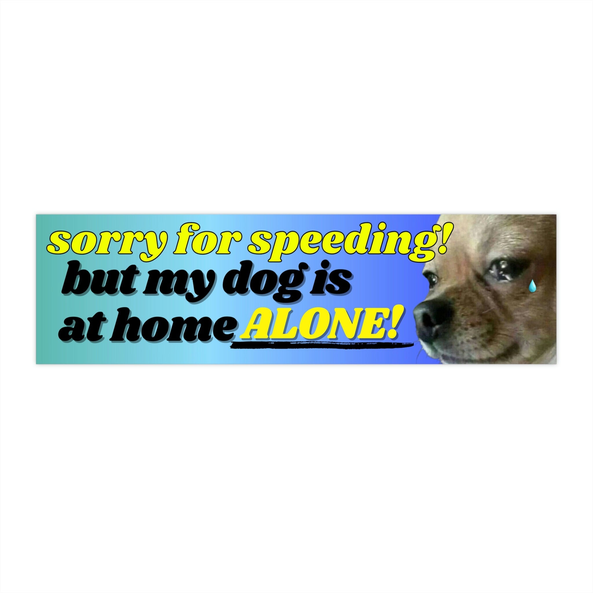 Sorry for speeding! But my dog is at home alone