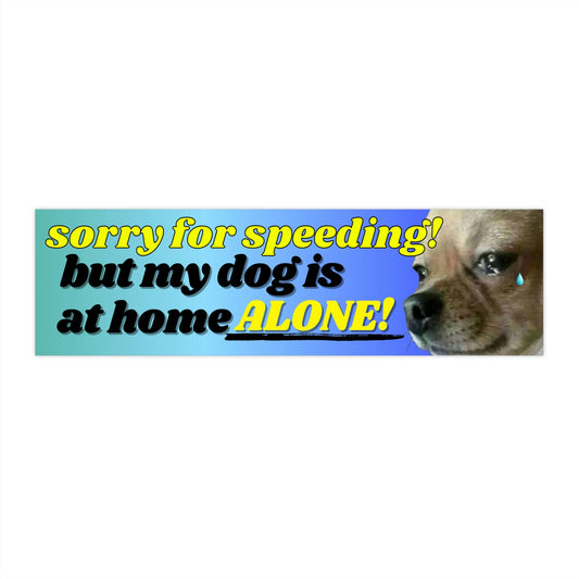 Sorry for speeding! But my dog is at home alone