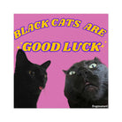 Black Cats are Good Luck Square Sticker - frogmustard stickers