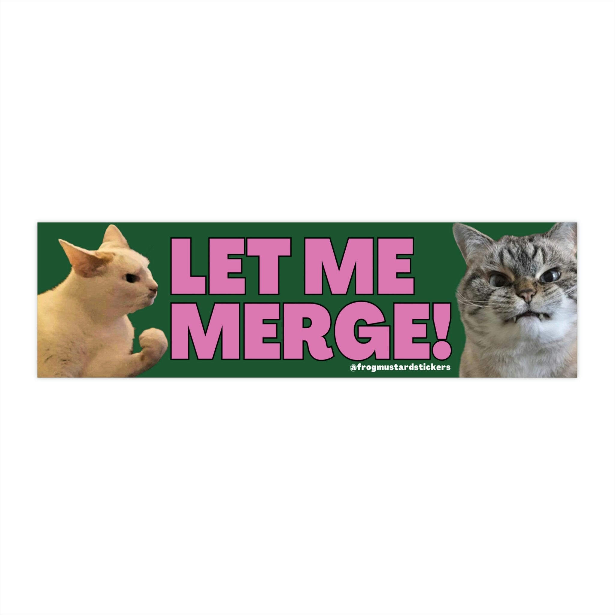 Let me merge! Angry cat