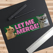 Let me merge! Angry cat