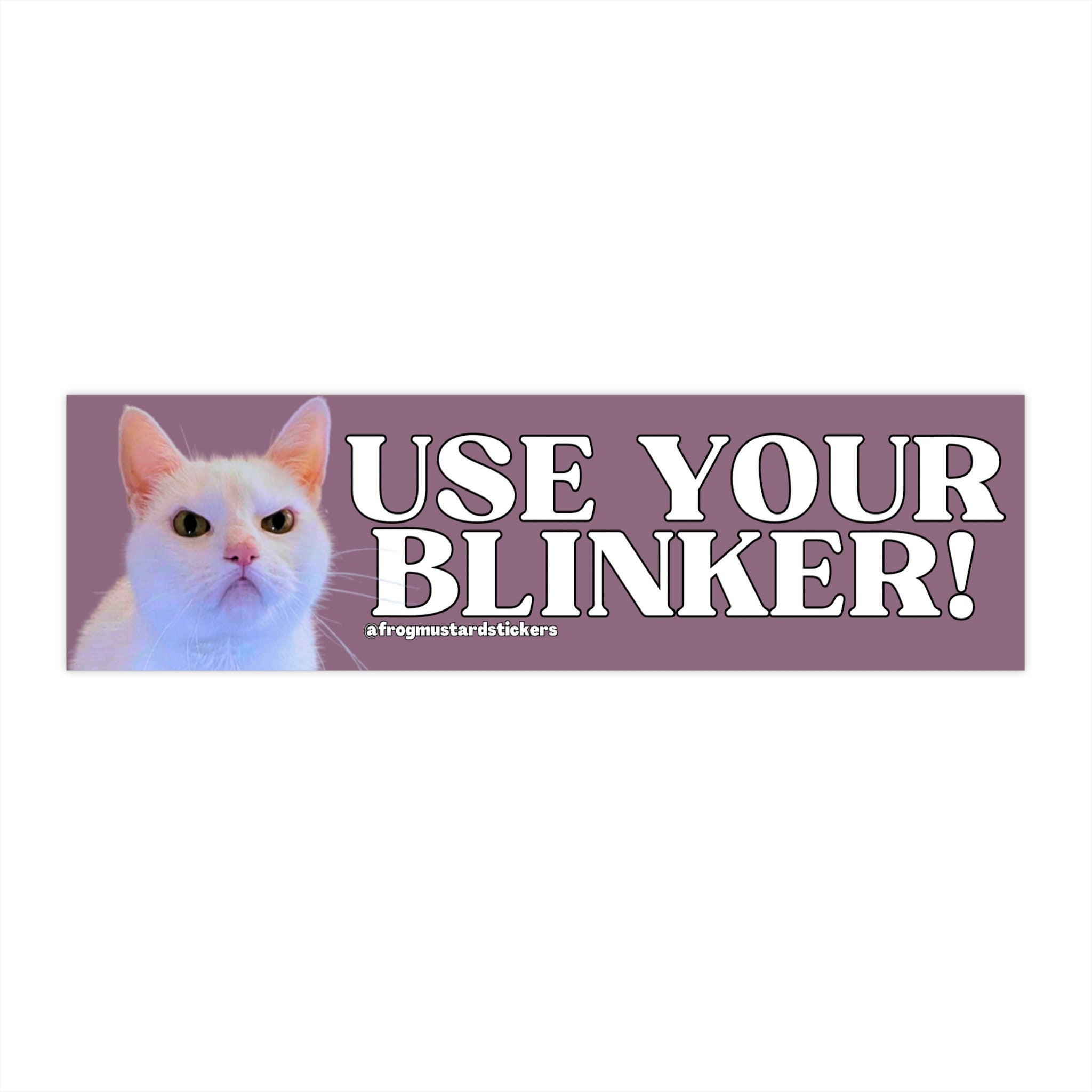 Use Your Blinker! Angry Cat (No Gun)