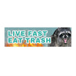 Live Fast, Eat Trash Racoon