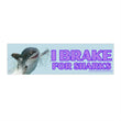 I Brake for Sharks