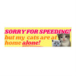 Sorry for speeding! But my cats (plural) are at home alone!