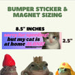 Major Financial Burden on Board (dog/pet) Bumper Sticker OR MAGNET | Gen Z Humor | 8.5" x 2.5"