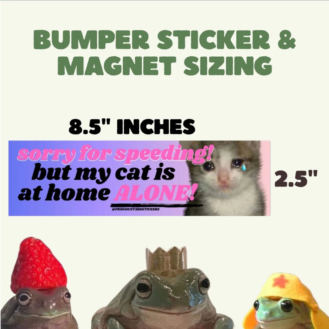 100% that bitch Bumper Sticker or Magnet | Funny Sticker | Satire | Gen Z Humor | 8.5" x 2.5"