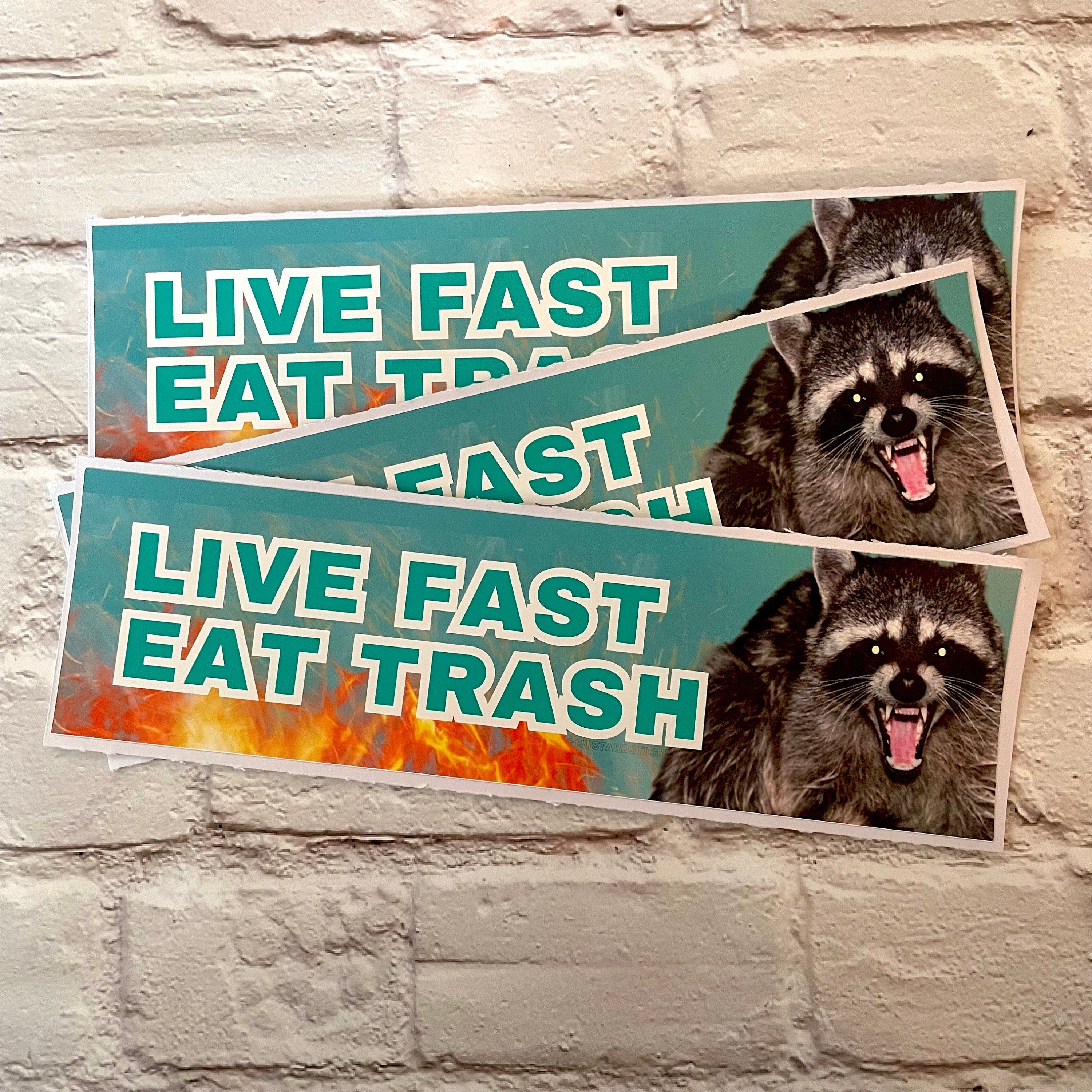 Live Fast, Eat Trash Racoon - frogmustard stickers