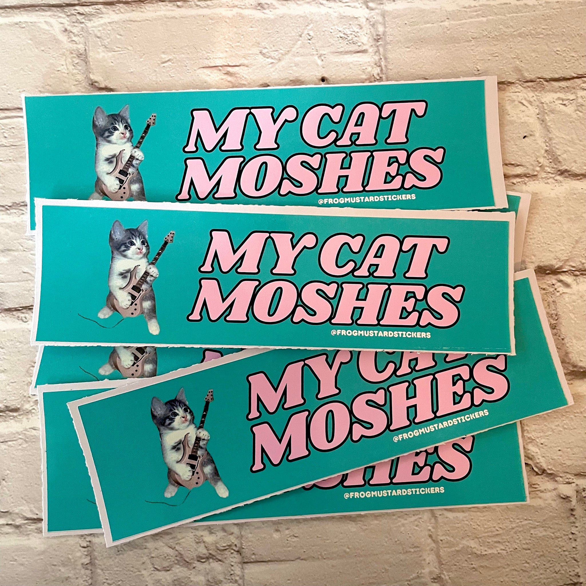 My Cat Moshes