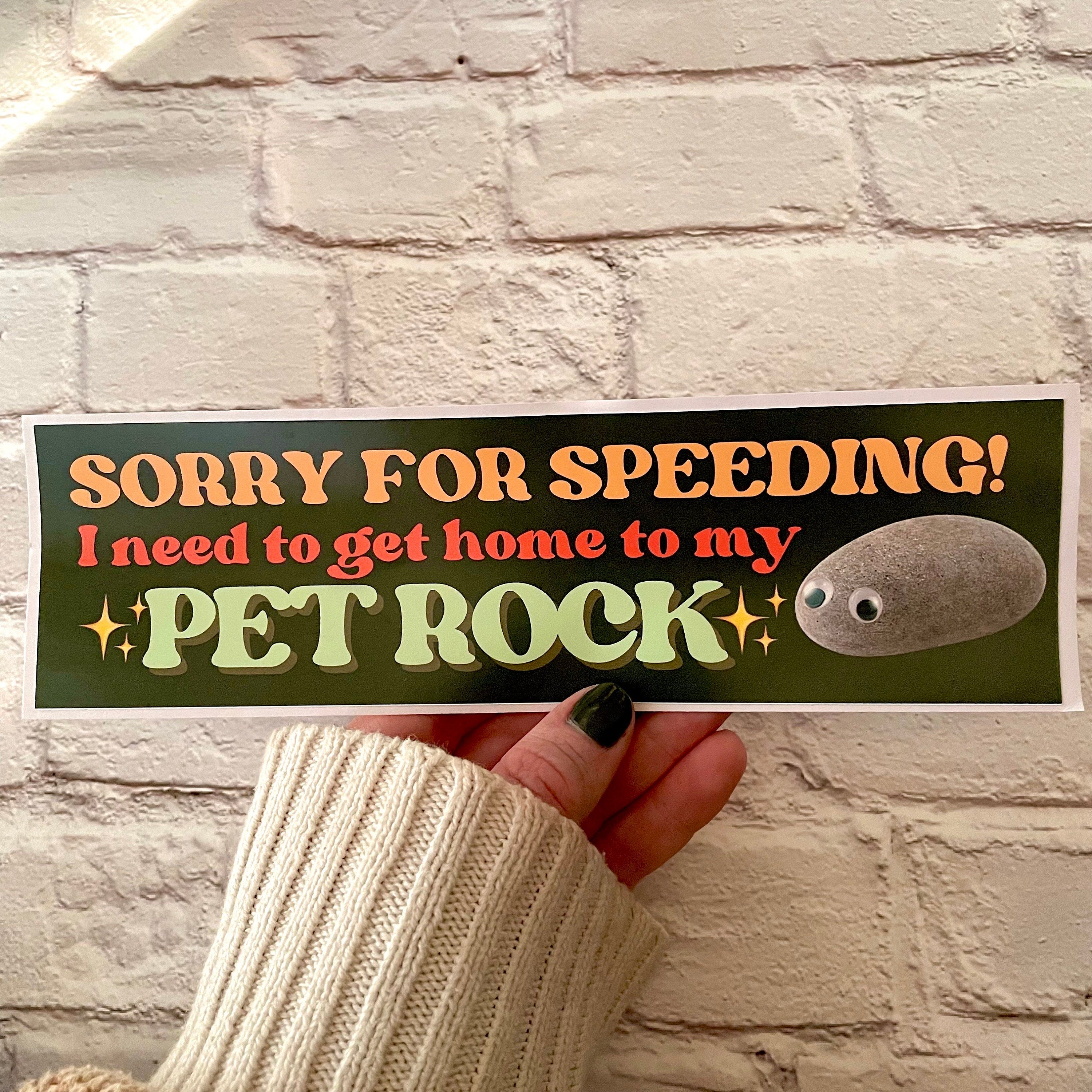 Sorry for speeding! I need to get home to my pet rock - frogmustard stickers