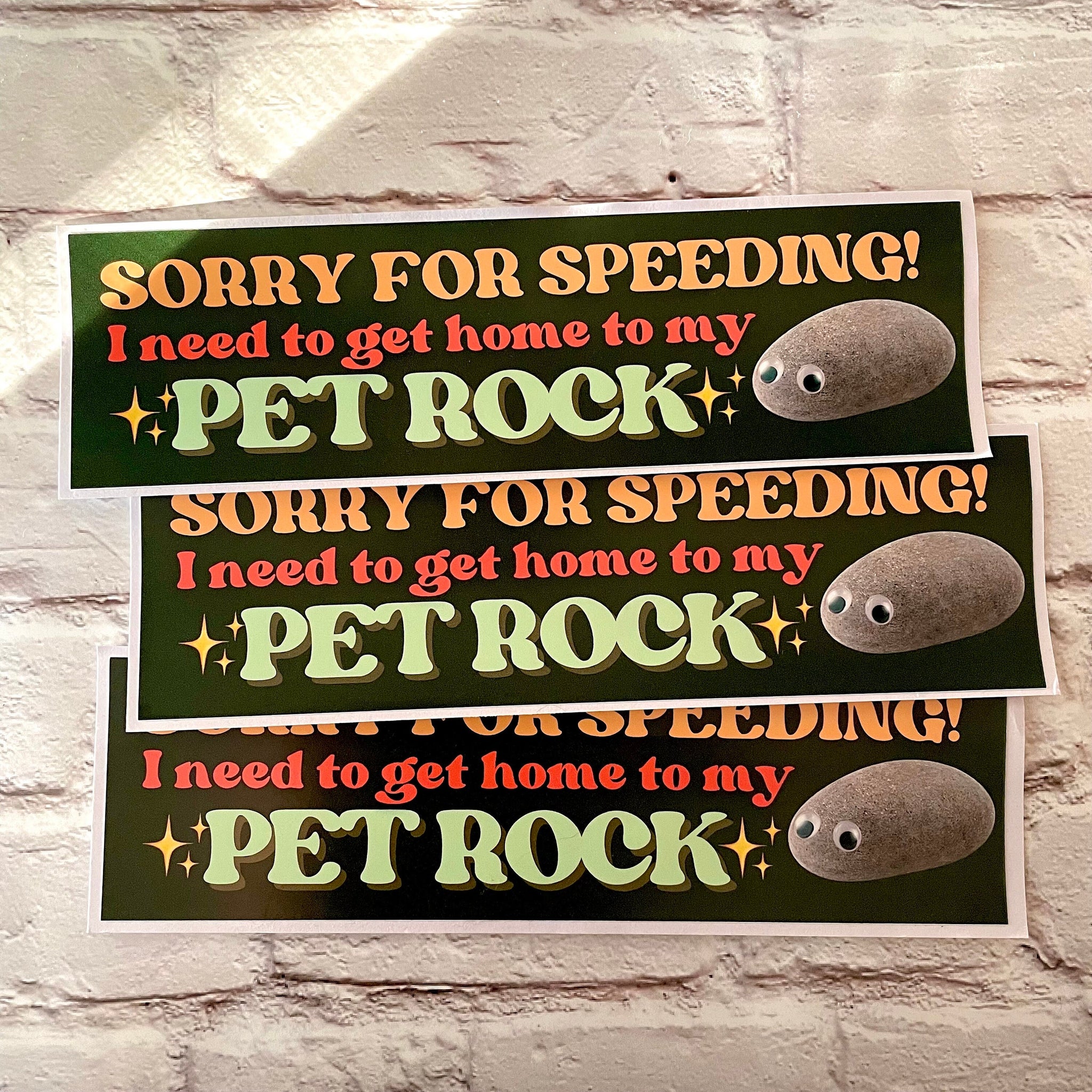 Sorry for speeding! I need to get home to my pet rock