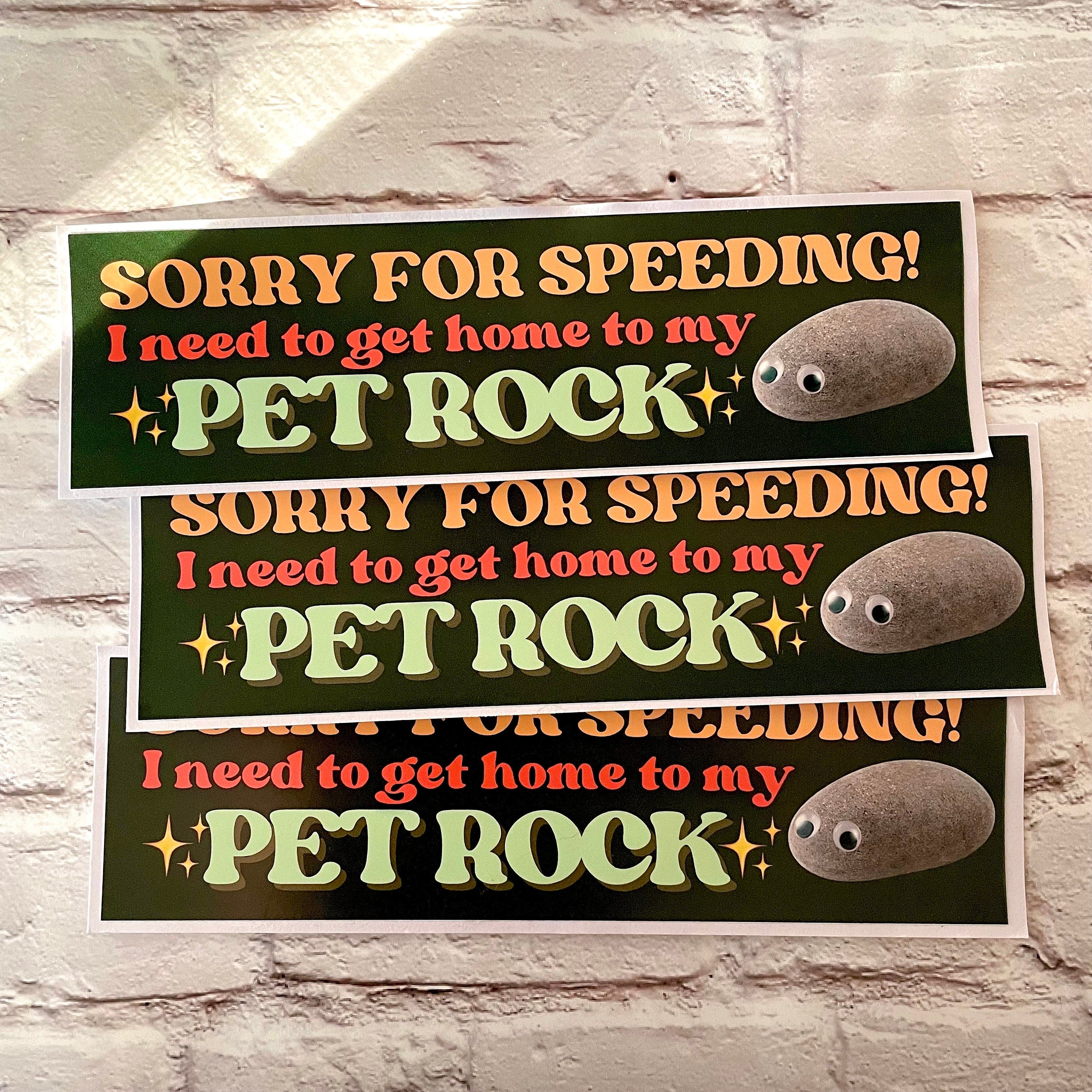 Sorry for speeding! I need to get home to my pet rock - frogmustard stickers