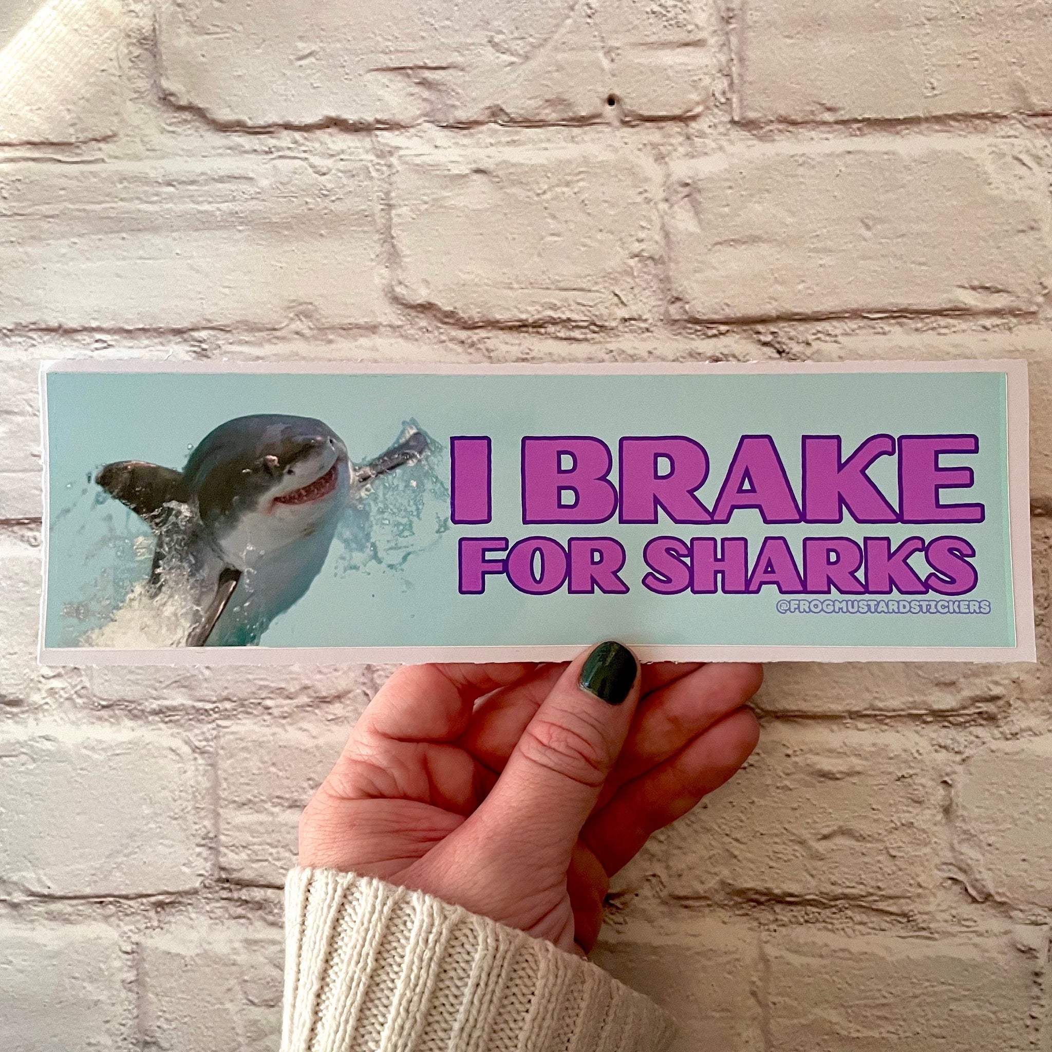 I Brake for Sharks