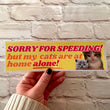 Sorry for speeding! But my cats (plural) are at home alone!