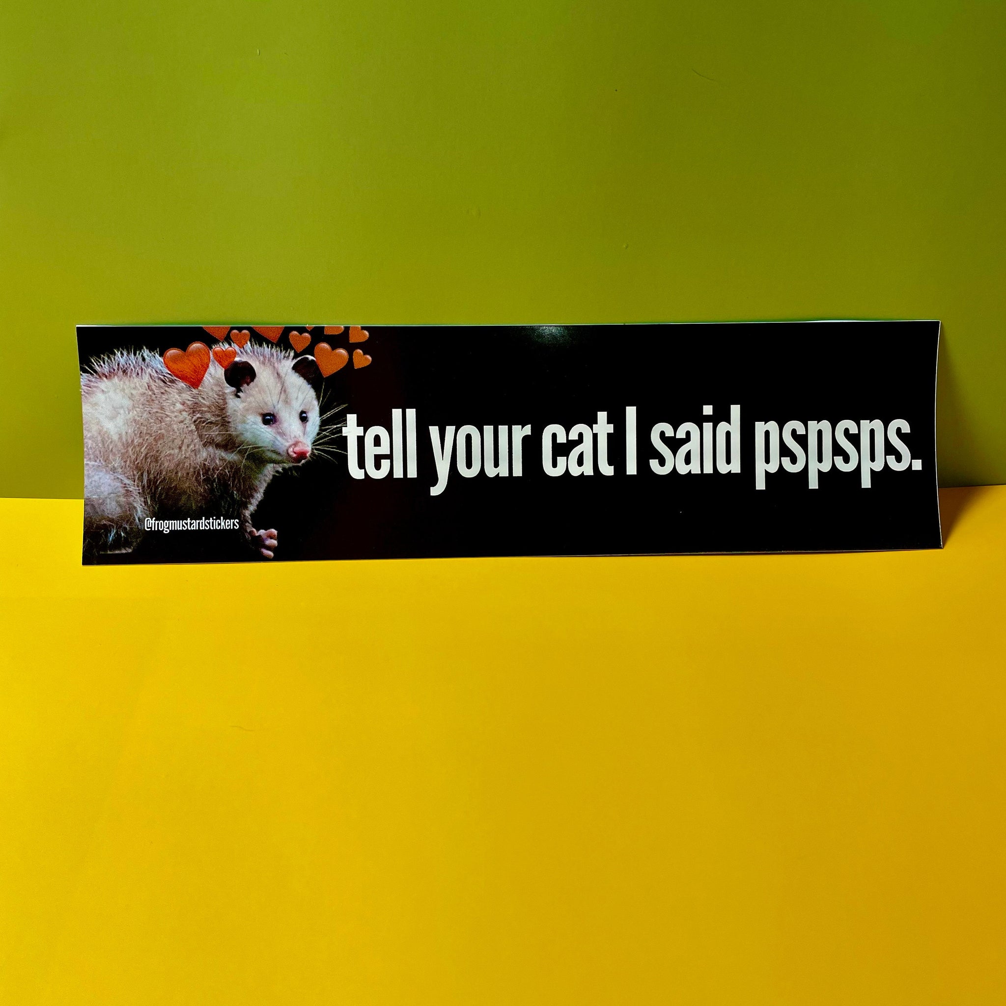 Tell Your Cat I said Pspsps Possum