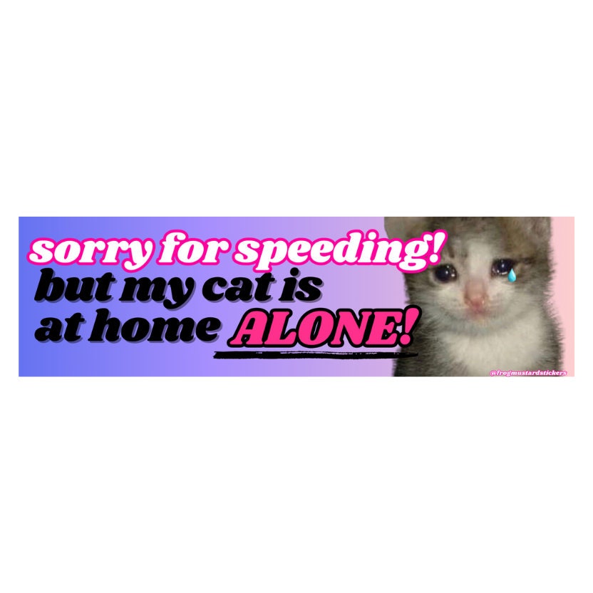 Sorry for speeding but my cat is at home alone! - frogmustard stickers