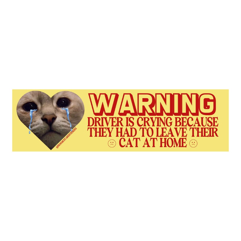 WARNING Driver is crying because they had to leave their cat at home