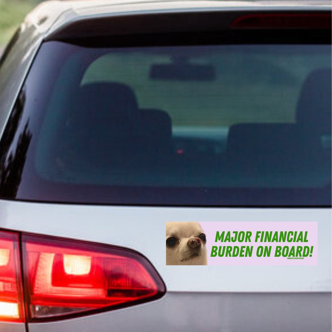 Major Financial Burden on Board (dog/pet)