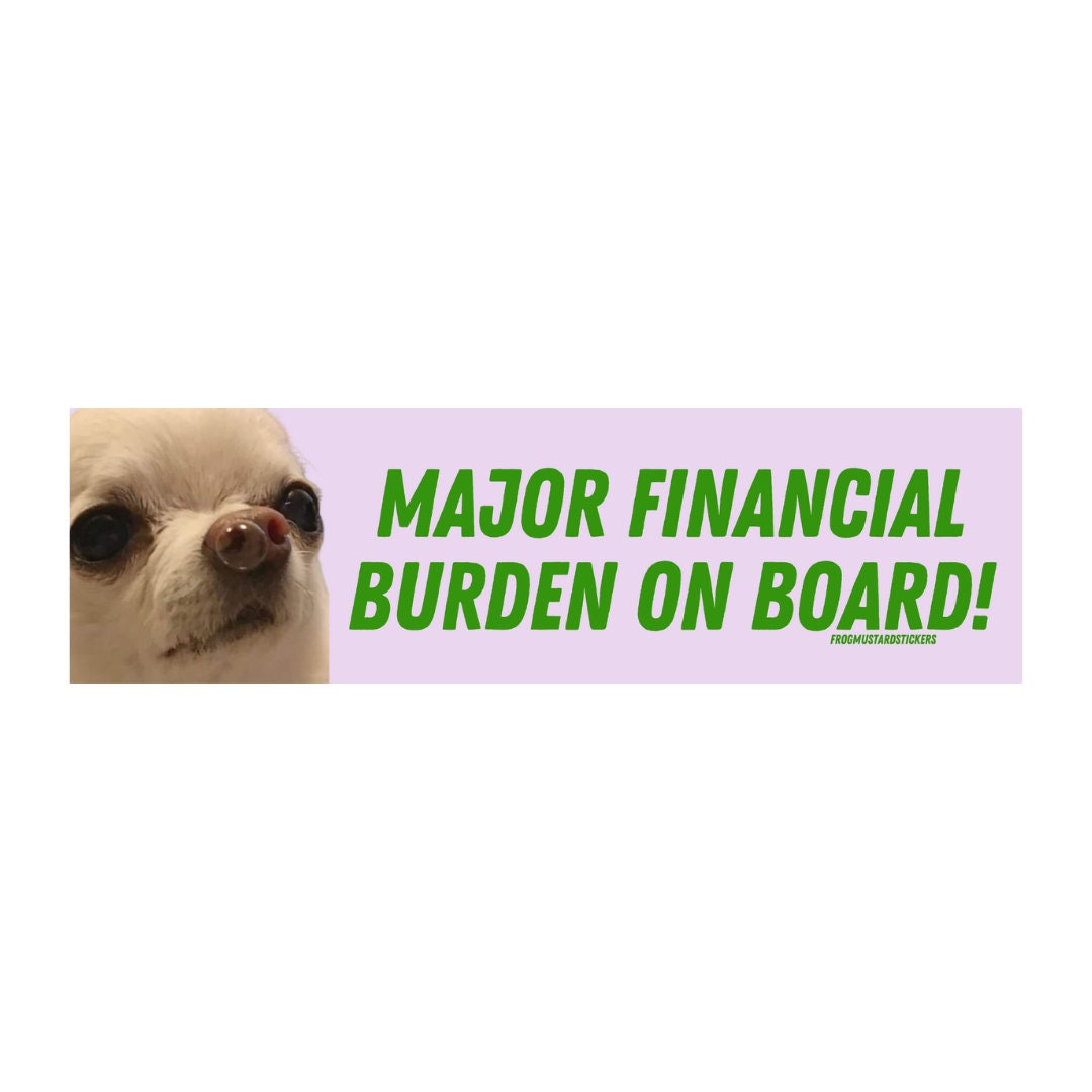 Major Financial Burden on Board (dog/pet) Bumper Sticker OR MAGNET | Gen Z Humor | 8.5" x 2.5"