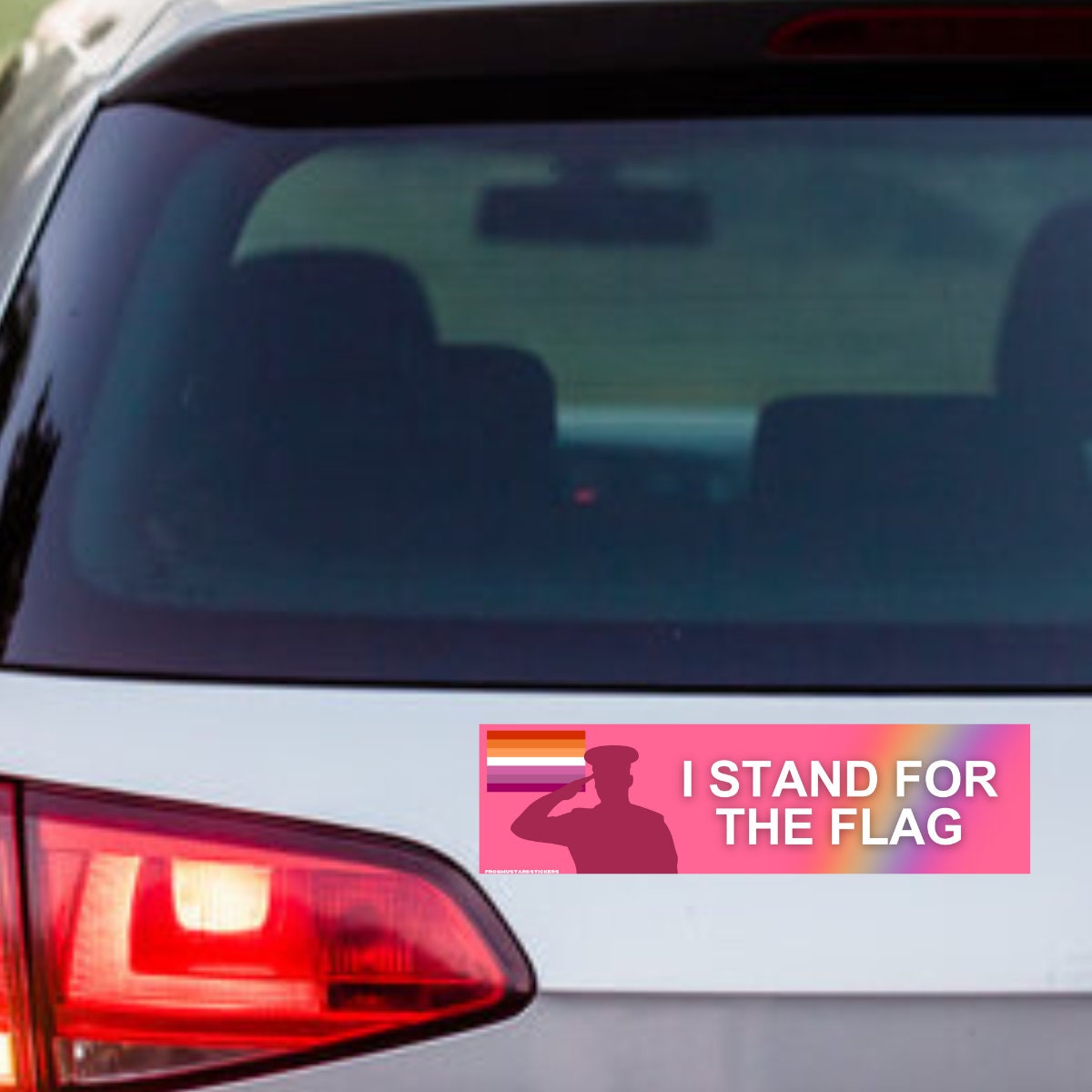 I stand for the (lesbian) flag - frogmustard stickers