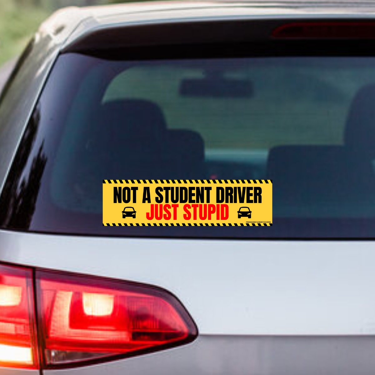 NOT a Student Driver, Just Stupid - frogmustard stickers