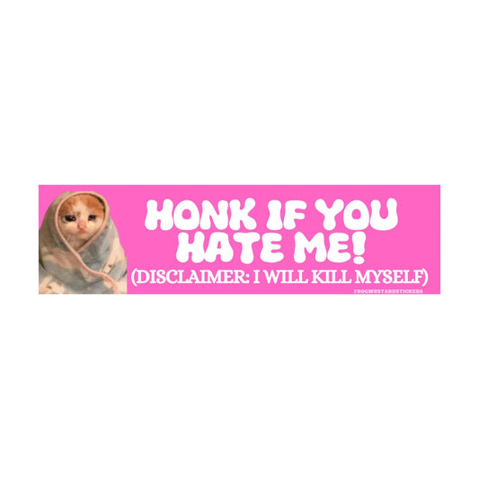 Honk if you hate me cat