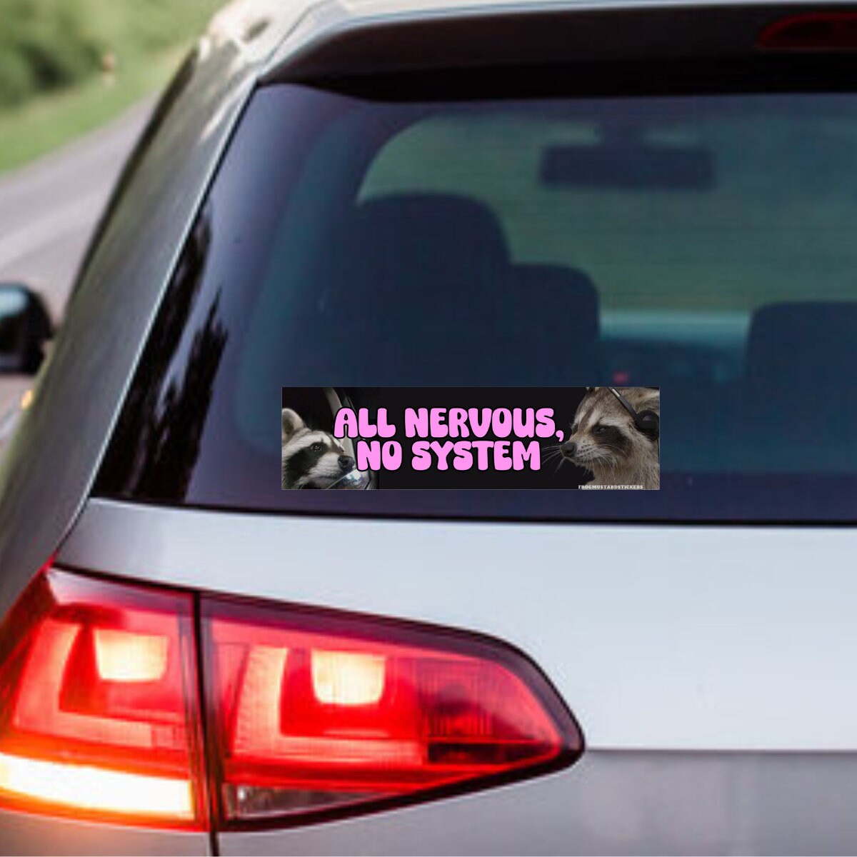 All Nervous, No System Raccoon Car Decal - frogmustard stickers