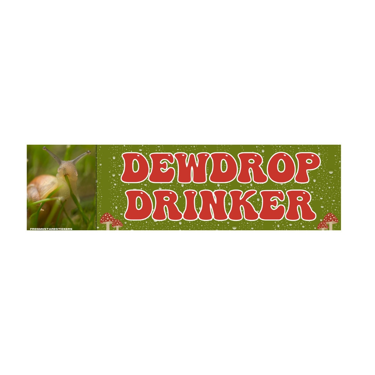 Dewdrop Drinker Snail