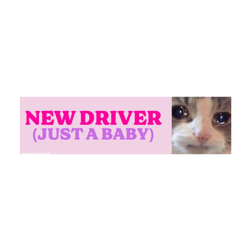 New Driver (Just a Baby) Cat