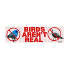 Birds aren't real - frogmustard stickers