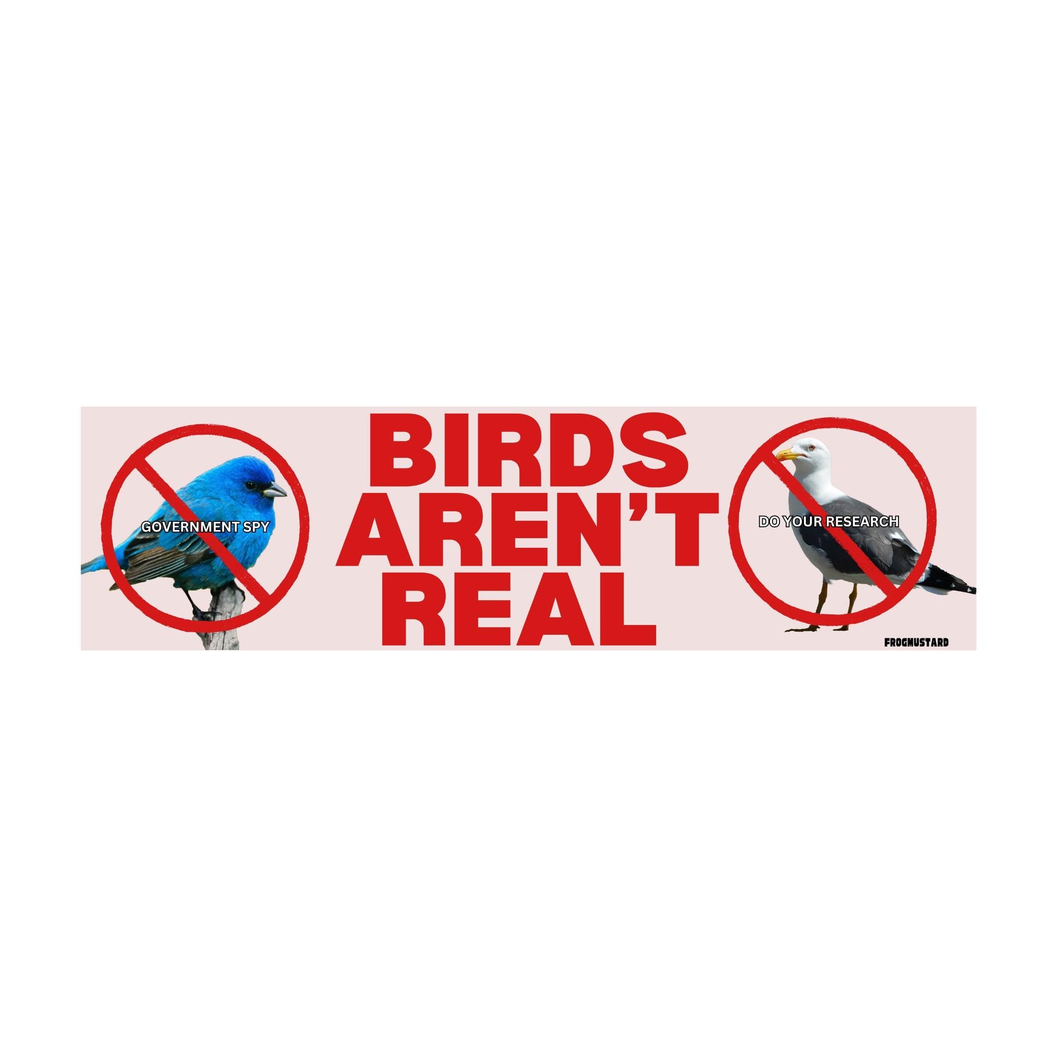 Birds aren't real - frogmustard stickers