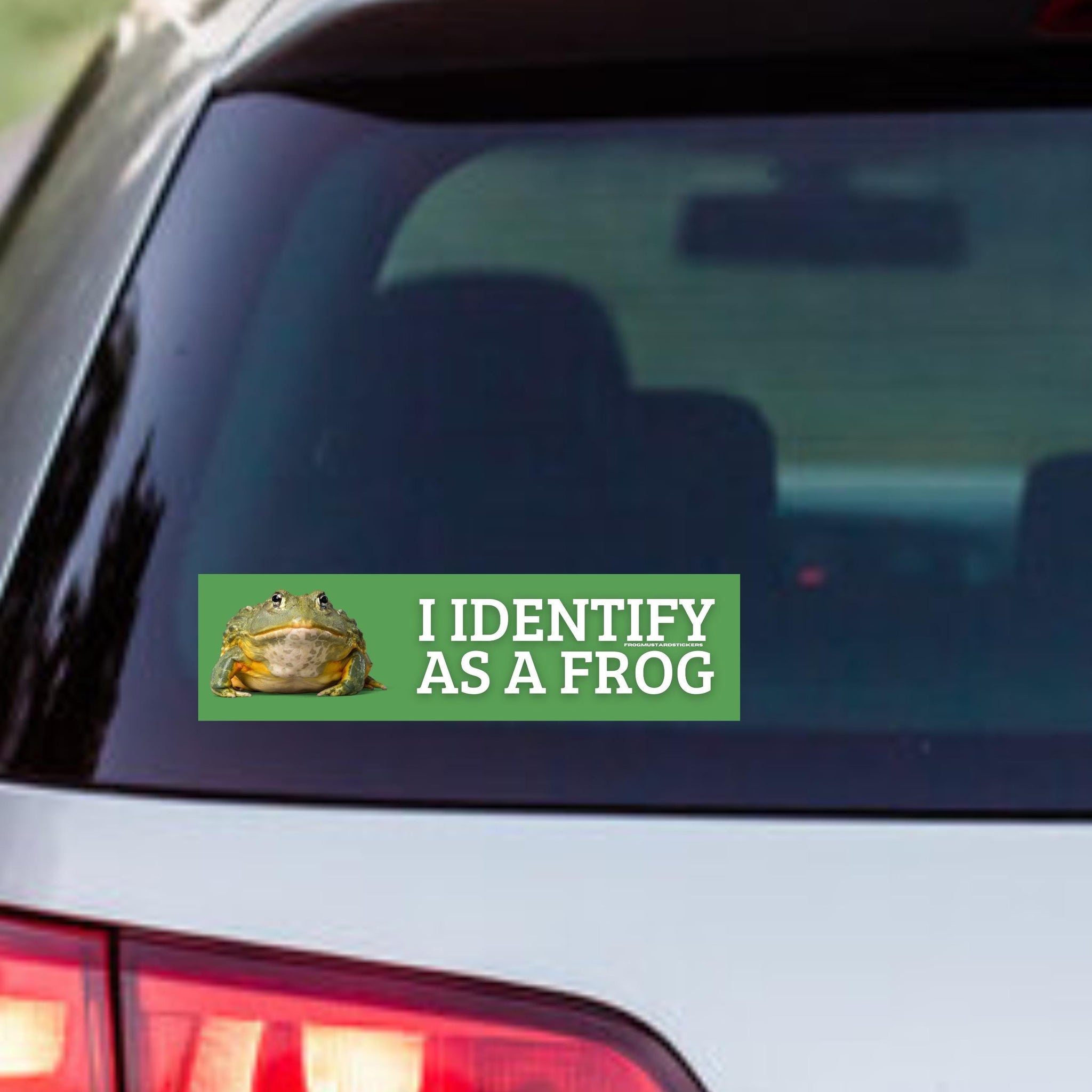 I Identify as a Frog | 8.5" x 2.5" | Weatherproof Vinyl | Meme Sticker Gen Z | Bumper Sticker OR Magnet