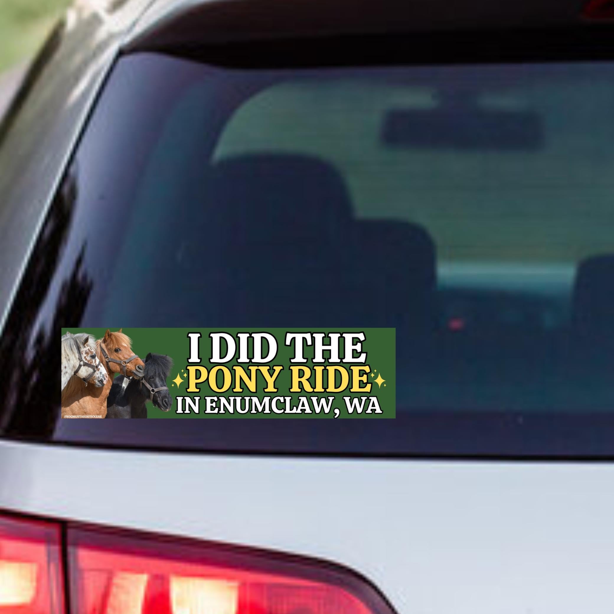 I did the pony ride in Enumclaw, WA - frogmustard stickers