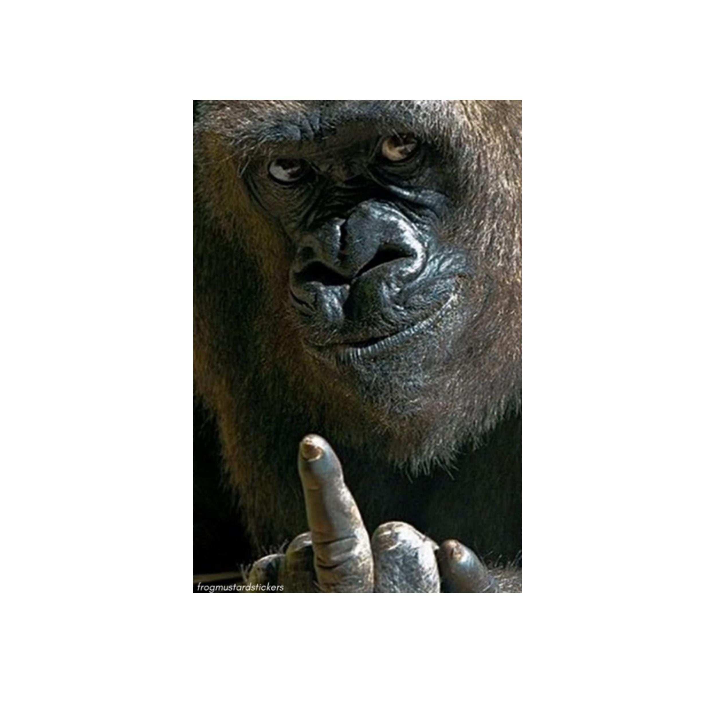 Gorilla Middle Finger - 6" x 2.5" - frogmustard stickers