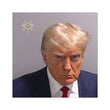 Donald Trump Mugshot Bumper Sticker or Magnet 3x3