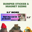I didn't hit the curb - it hit me! Bumper Sticker OR Magnet | Cute Sad Crying Cat | Satire | Gen Z Humor 8.5" x 2.5"