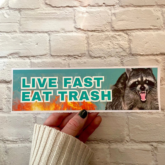 Live Fast, Eat Trash Racoon Bumper Sticker or Magnet | Funny Sticker | Satire | Gen Z Humor 8.5" x 2.5"